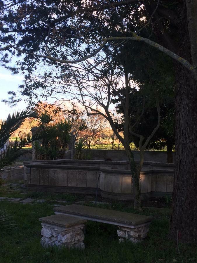 Villa L'Ottagono Con Cucina Parcheggio Privato Telecamerizzato E Wifi Gioia Del Colle Dış mekan fotoğraf