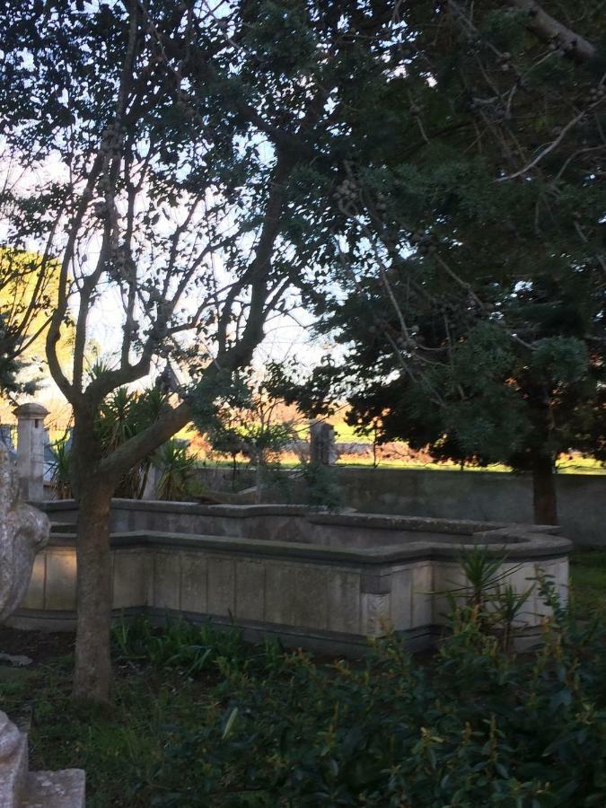Villa L'Ottagono Con Cucina Parcheggio Privato Telecamerizzato E Wifi Gioia Del Colle Dış mekan fotoğraf